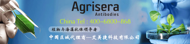 agrisera亚搏手机版app下载
中国代理