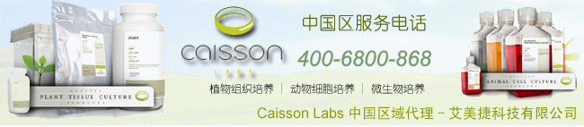 Caisson代理商亚搏手机版app下载
科技