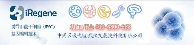 iRegene中国代理半岛体彩官方网站
科技有限公司