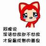 宠物知识宠物视频